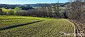 20230110_151712 - Dalla terra... il grano